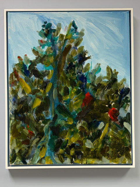 Treetop from My Window