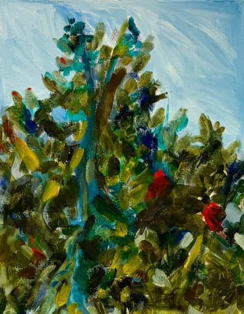 Treetop from My Window