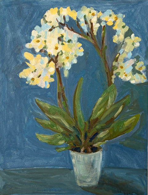 In Full Bloom