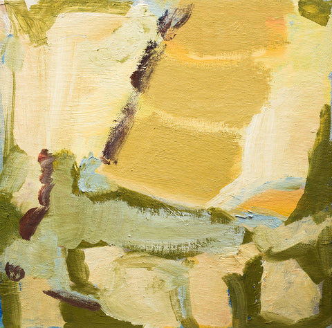 "A New View on Light"
