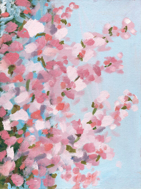 "Pink Blooms"